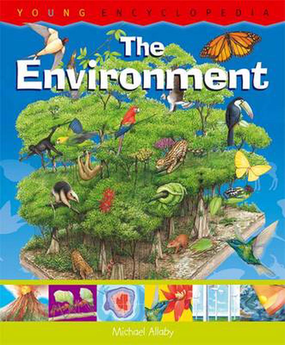 Environment by Michael Allaby, Hardcover, 9781899762835 | Buy online at ...