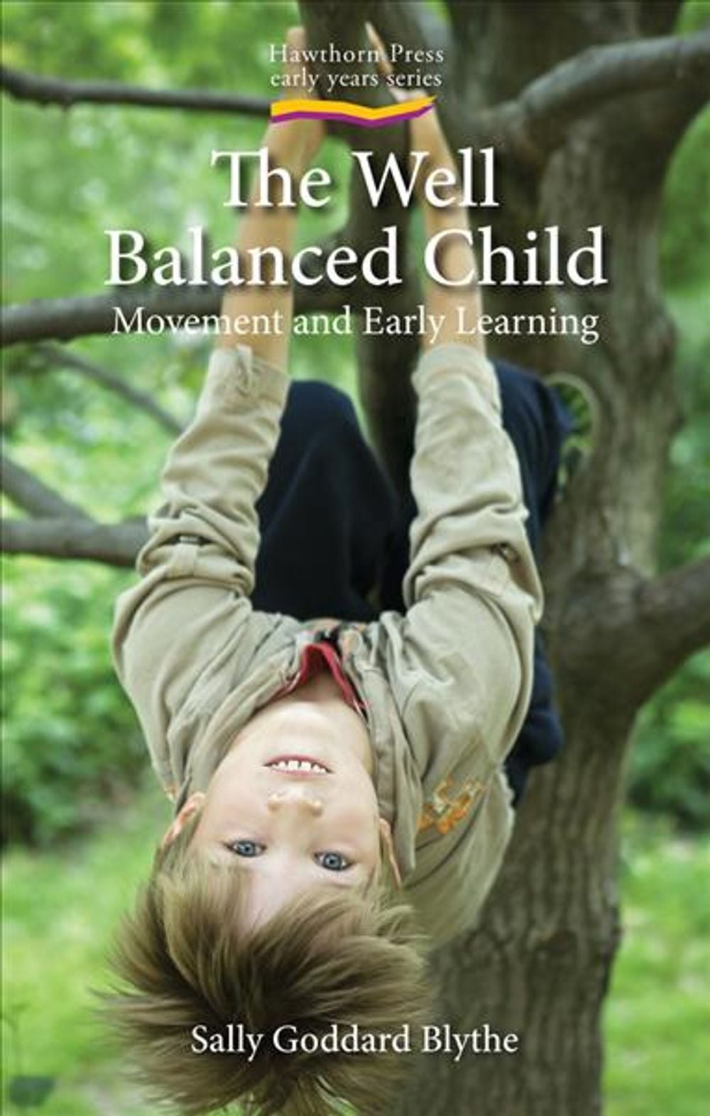 The Well Balanced Child by Sally Goddard Blythe - ISBN: 9781903458631