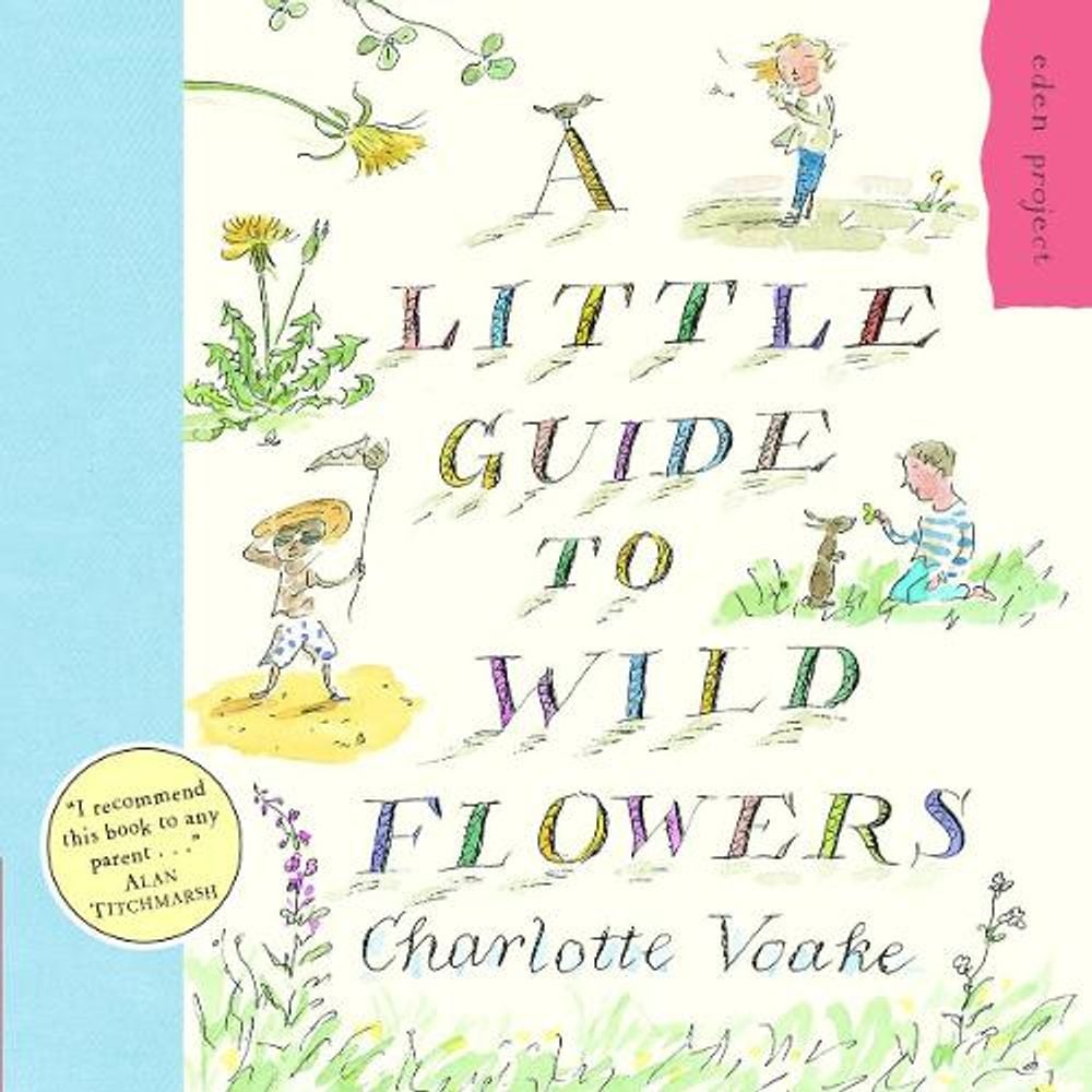 A Little Guide To Wild Flowers by Charlotte Voake - ISBN: 9781903919118