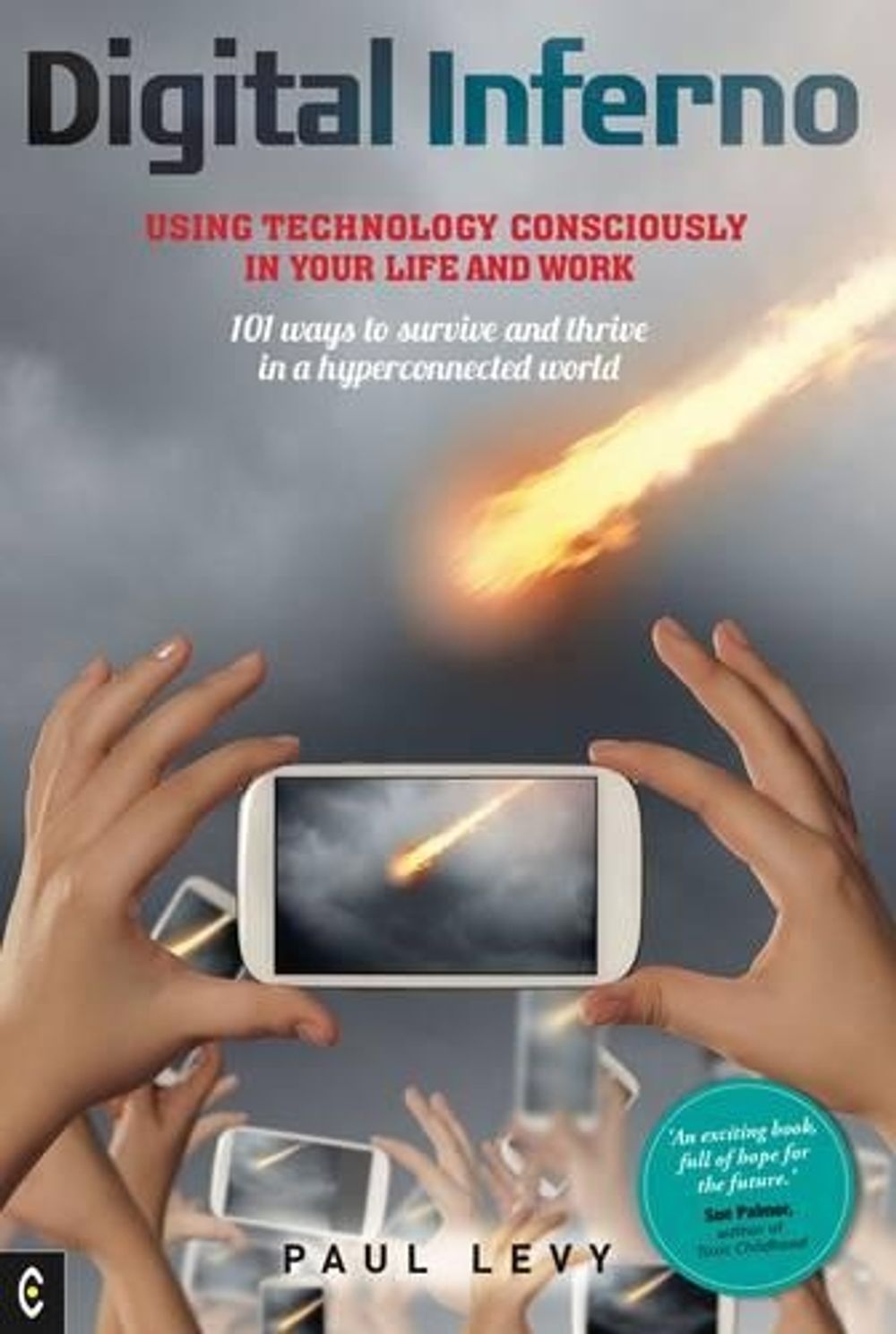 Digital Inferno by Paul Levy - ISBN: 9781905570744