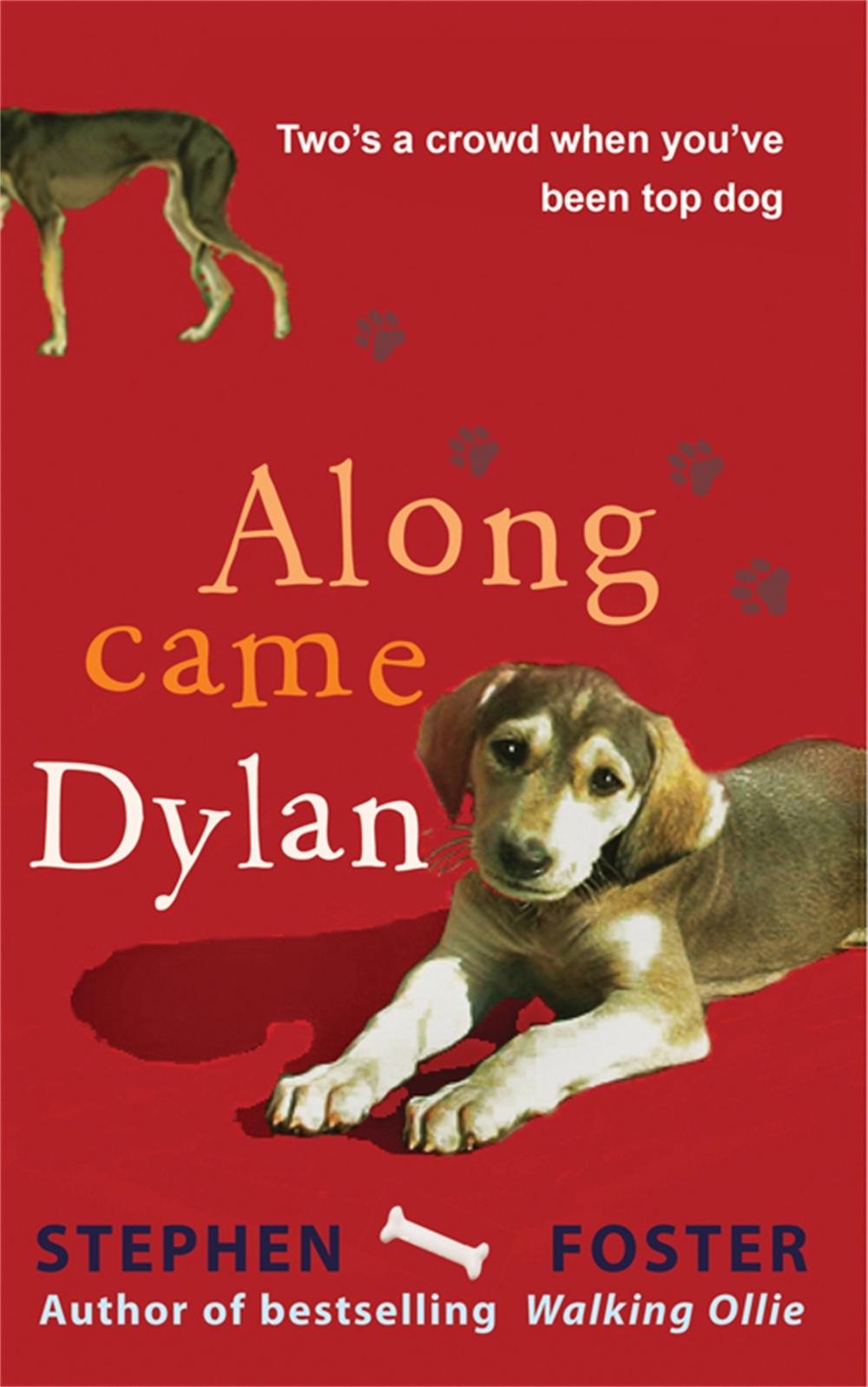 Along Came Dylan: Two's a Crowd When You've Been Top Dog by Stephen Foster - ISBN: 9781906021412