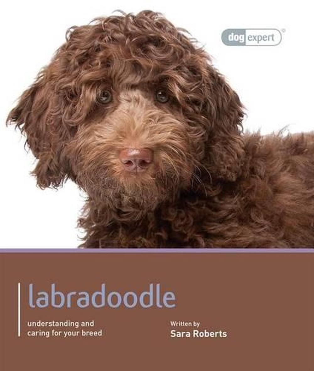 Labradoodle - Dog Expert, 9781906305734