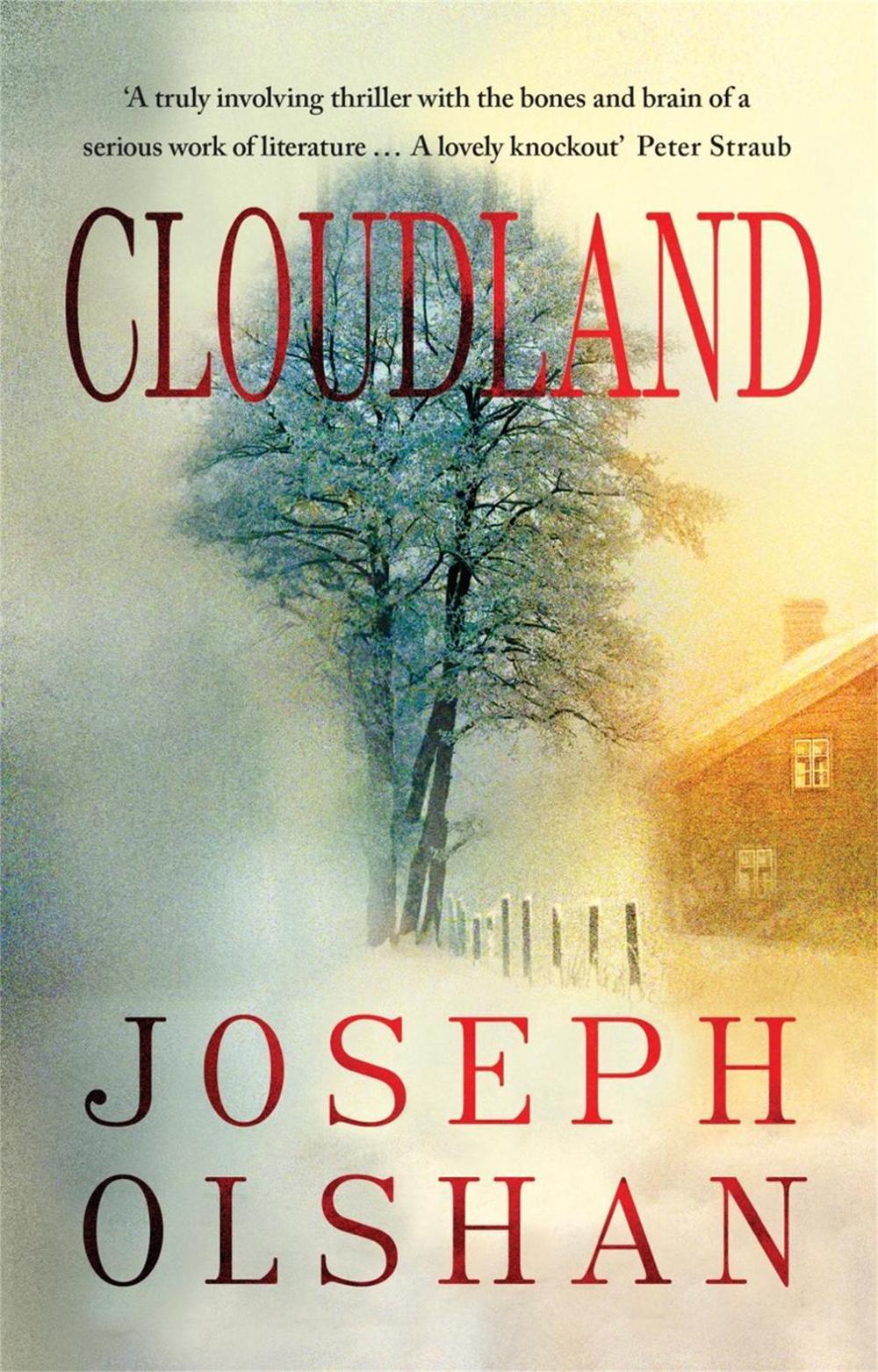 Cloudland by Joseph Olshan - ISBN: 9781906413927