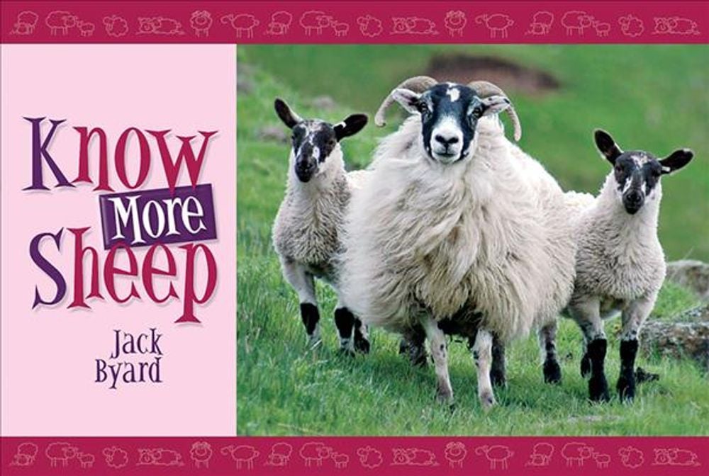 Know More Sheep by Jack Byard - ISBN: 9781906853006
