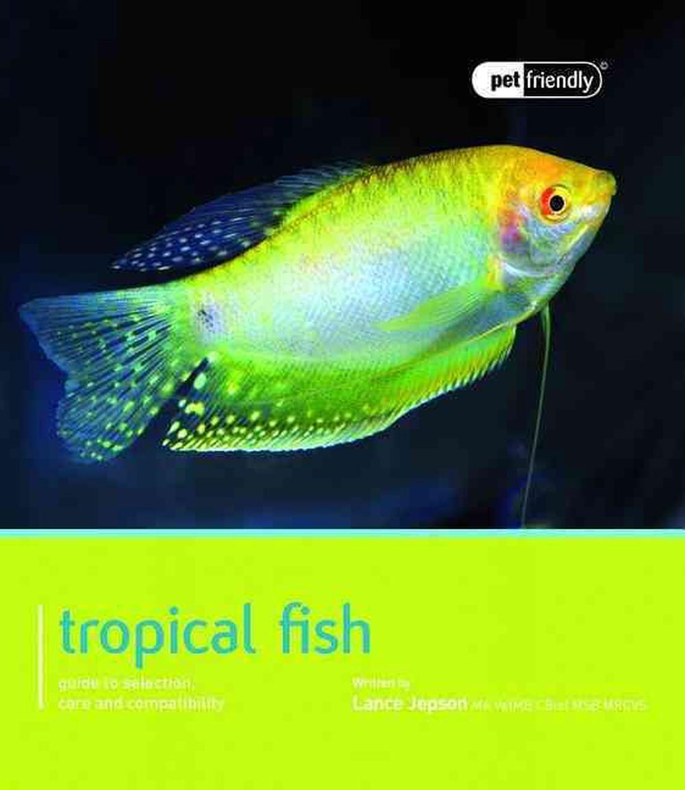 tropical pet fish