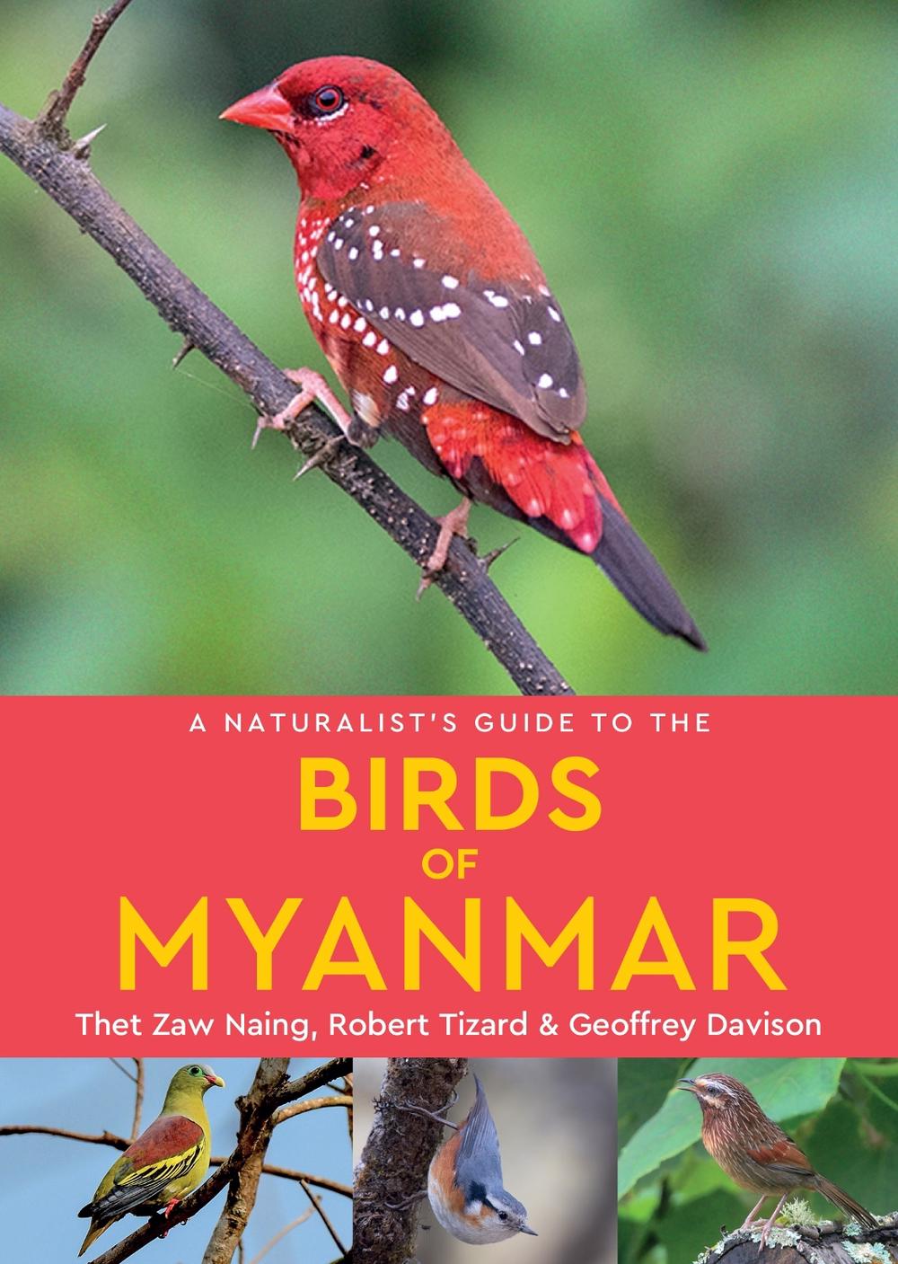 A Naturalist's Guide to the Birds of Myanmar, 9781909612723