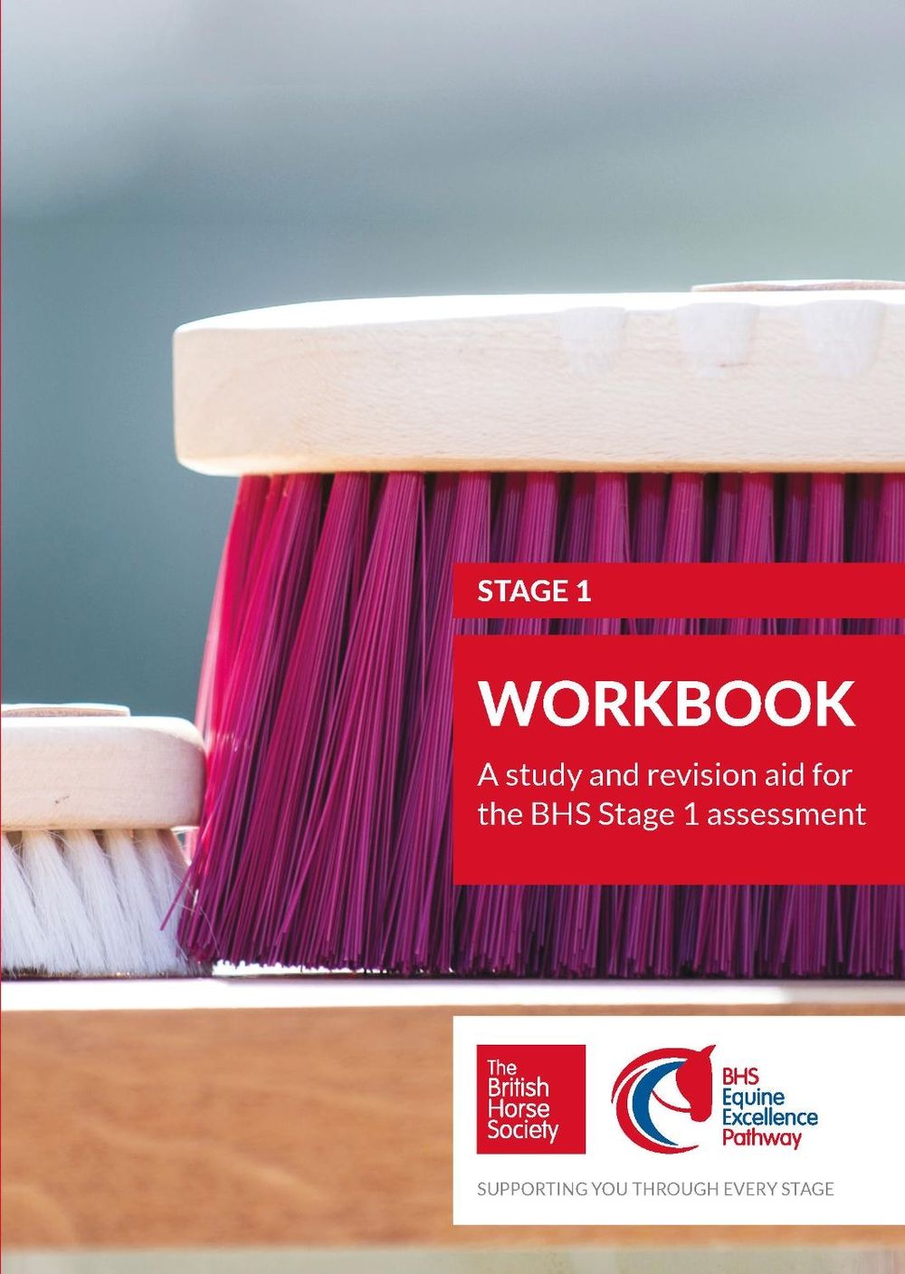 BHS Stage 1 Workbook by British Horse Society - ISBN: 9781910016329