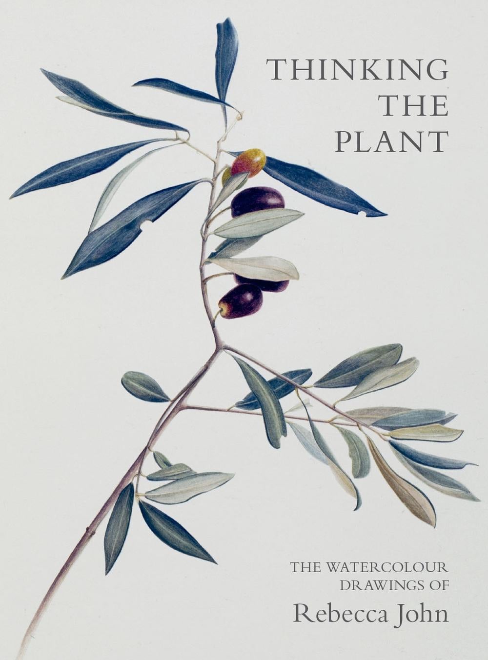 Thinking the Plant by Rebecca John - ISBN: 9781910258316