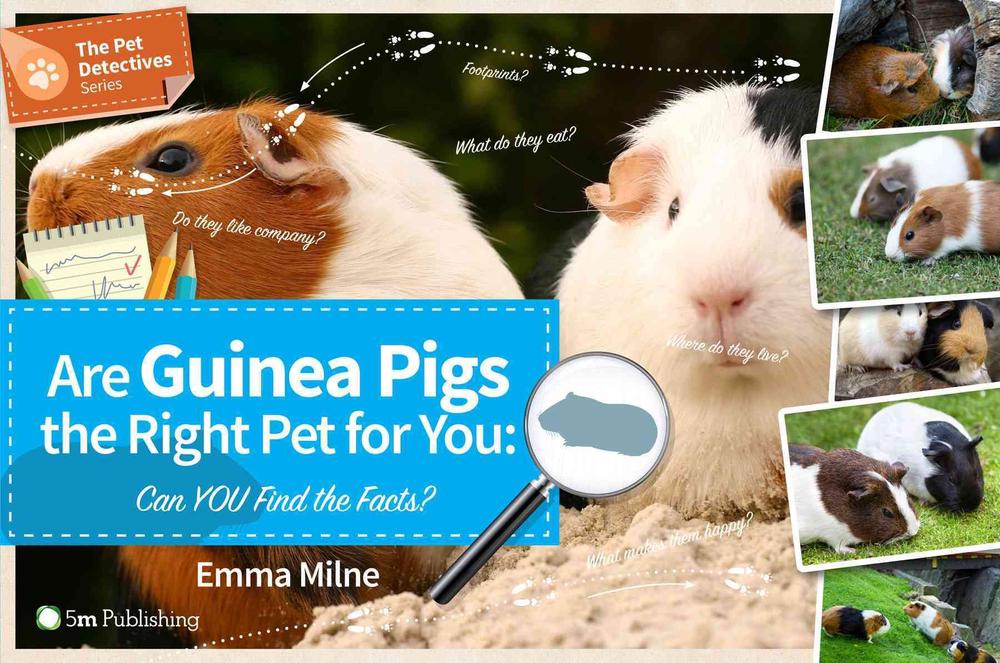 Are Guinea Pigs the Right Pet for You, 9781910455111