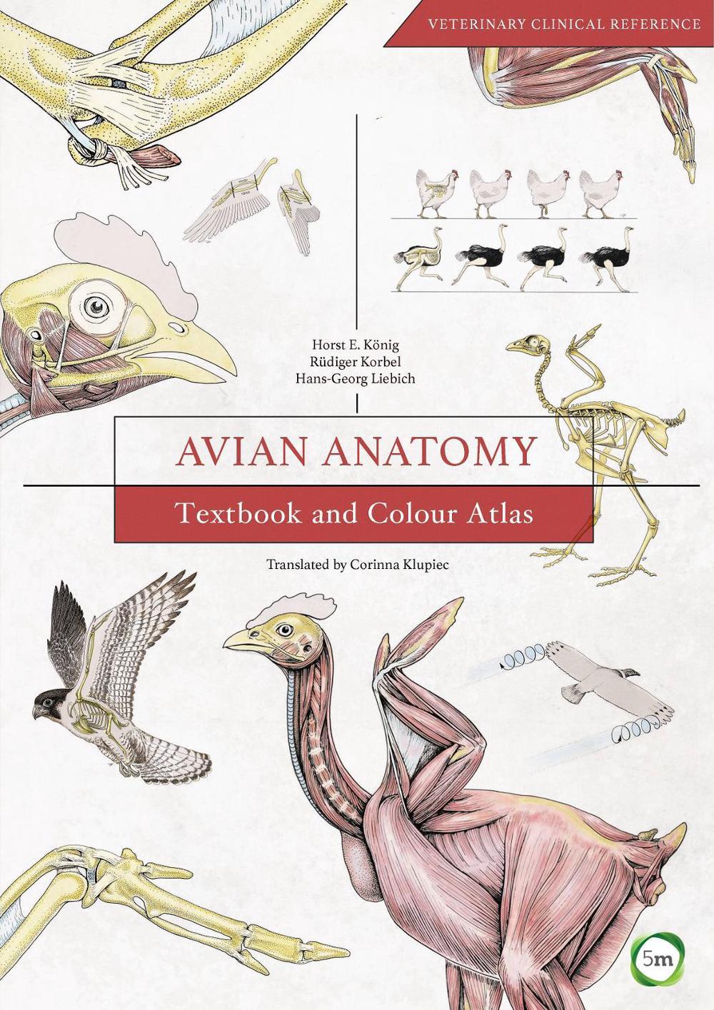 Avian Anatomy 2nd Edition by Horst Erich Konig - ISBN: 9781910455609