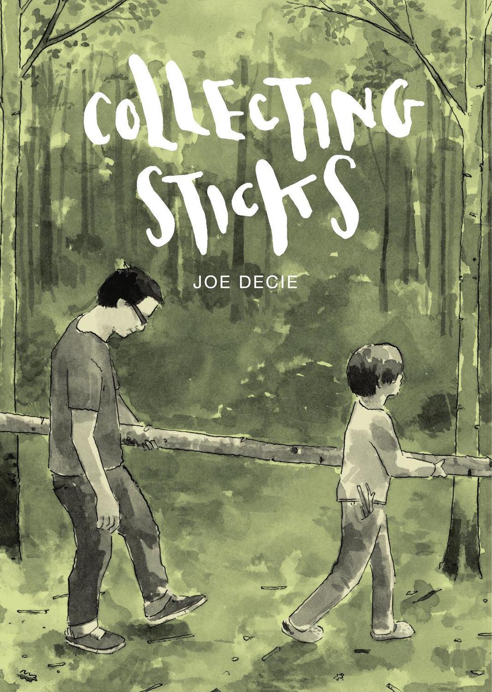 Collecting Sticks by Joe Decie - ISBN: 9781910702734