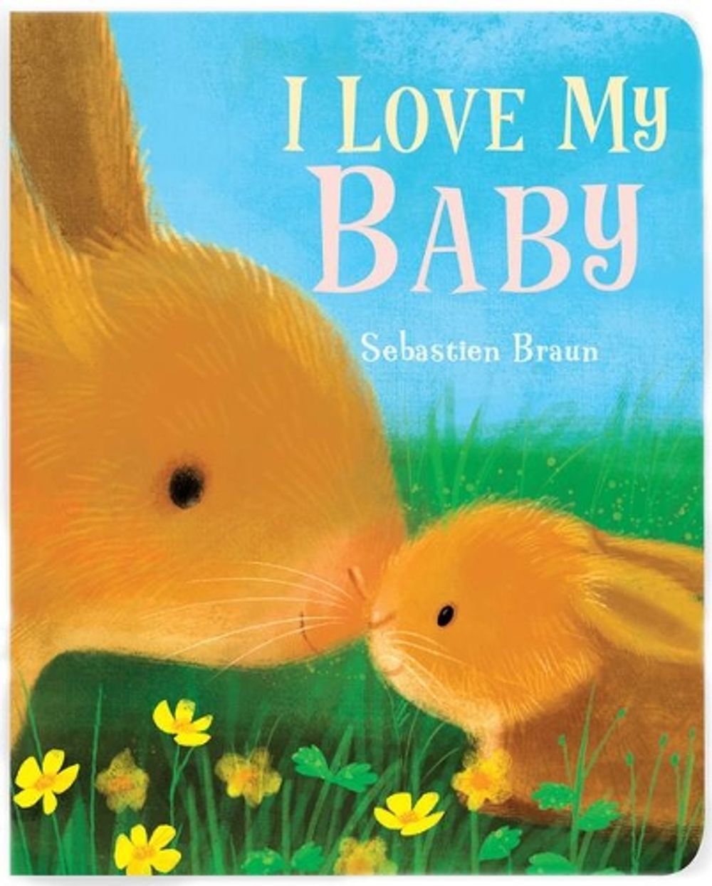 I Love My Baby by Sebastien Braun - ISBN: 9781910716984