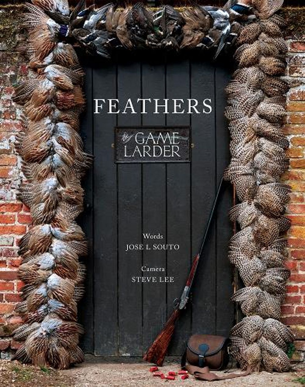 Feathers by Jose Souto - ISBN: 9781910723739