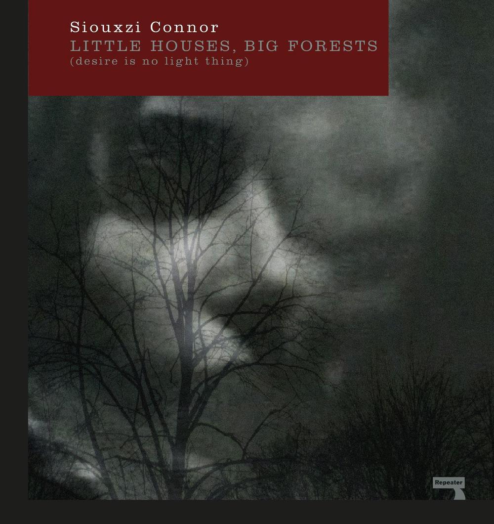 Little Houses, Big Forests by Siouxzi Connor - ISBN: 9781910924990