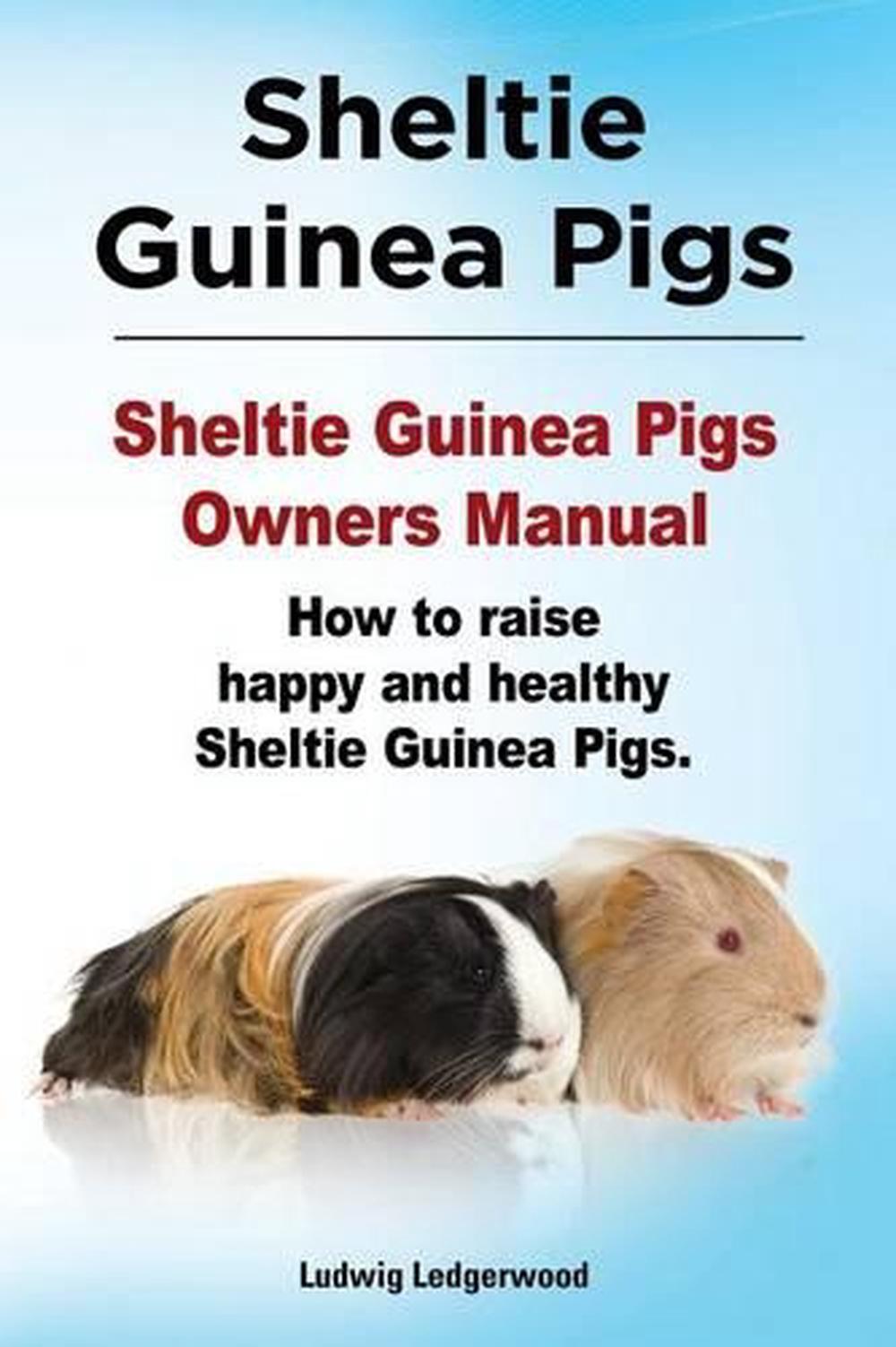Sheltie Guinea Pigs. Sheltie Guinea Pigs Owners Manual. How to raise happy and healthy Sheltie Guinea Pigs., 9781910941287