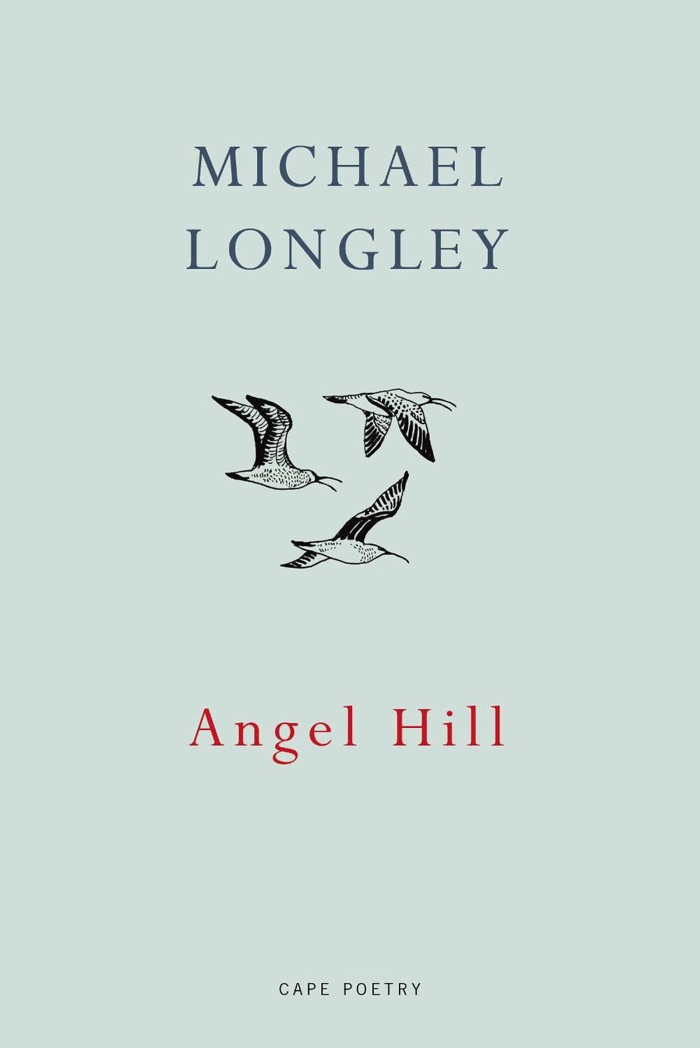 Angel Hill by Michael Longley - ISBN: 9781911214083