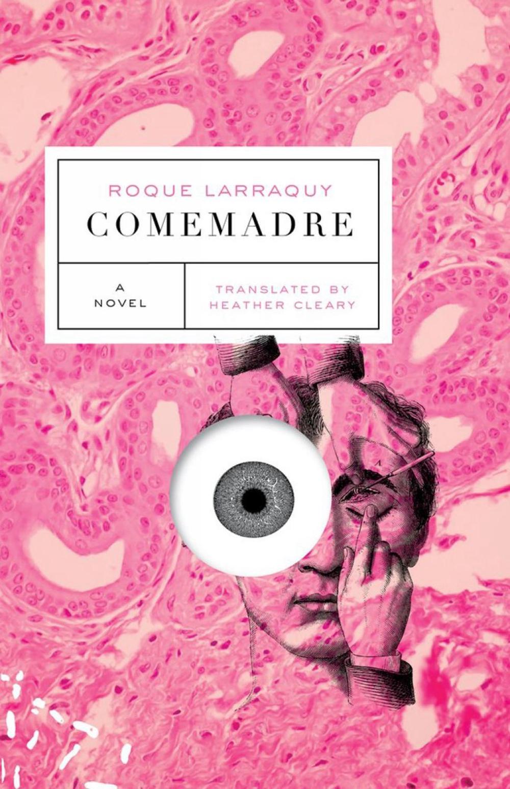 Comemadre by Roque Larraquy - ISBN: 9781911231288