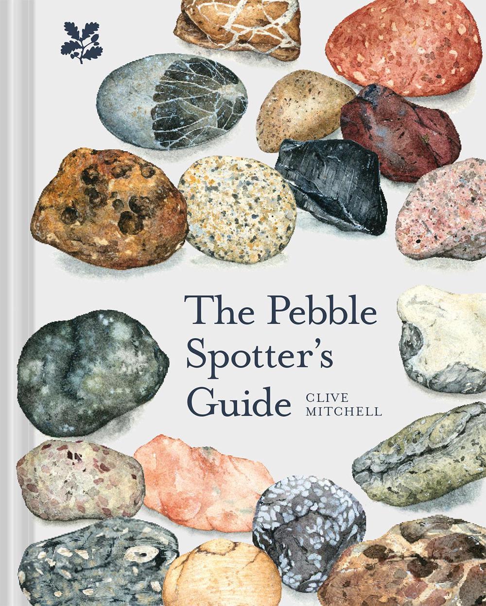 The Pebble Spotter's Guide, 9781911657309