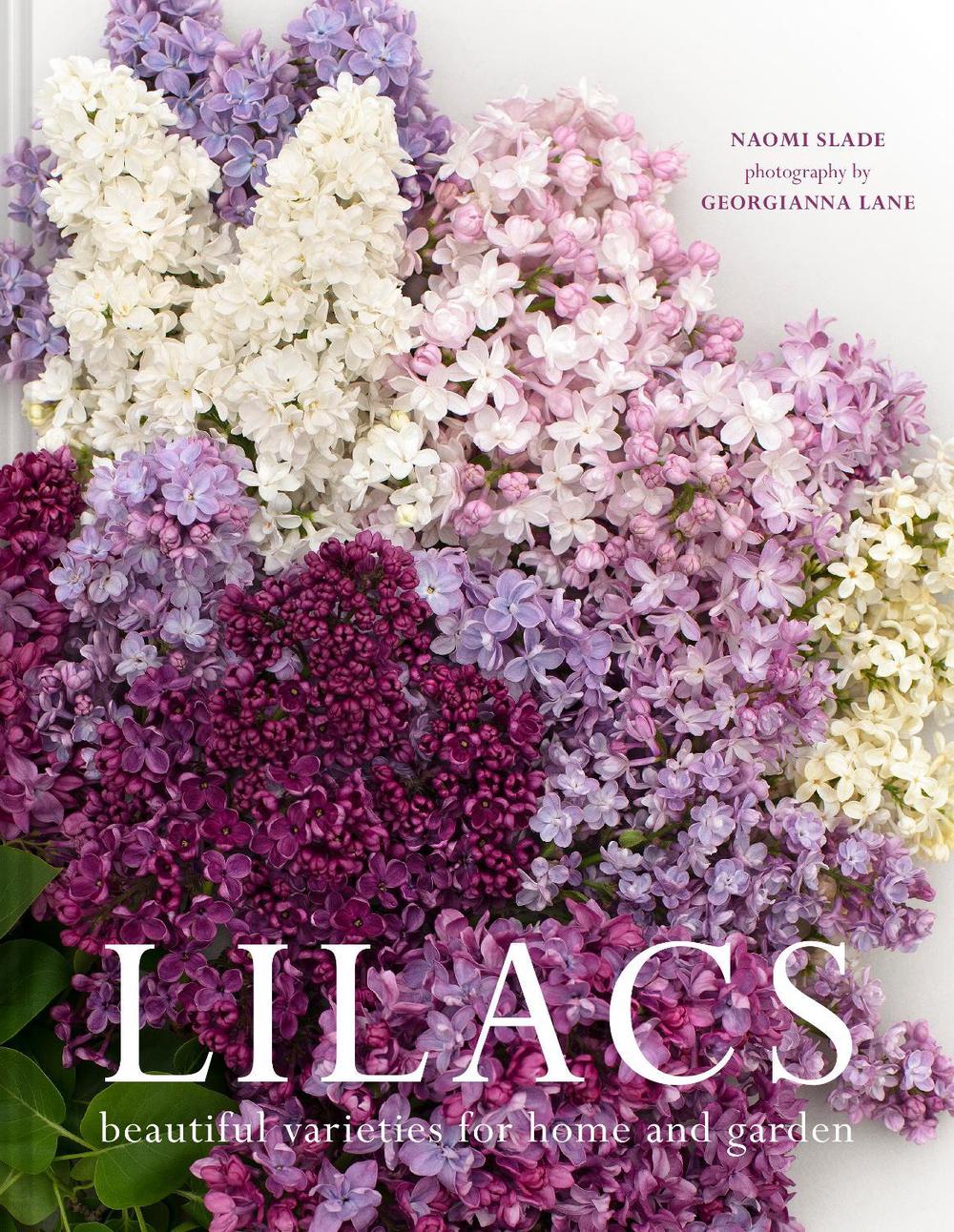 Lilacs, 9781911663966