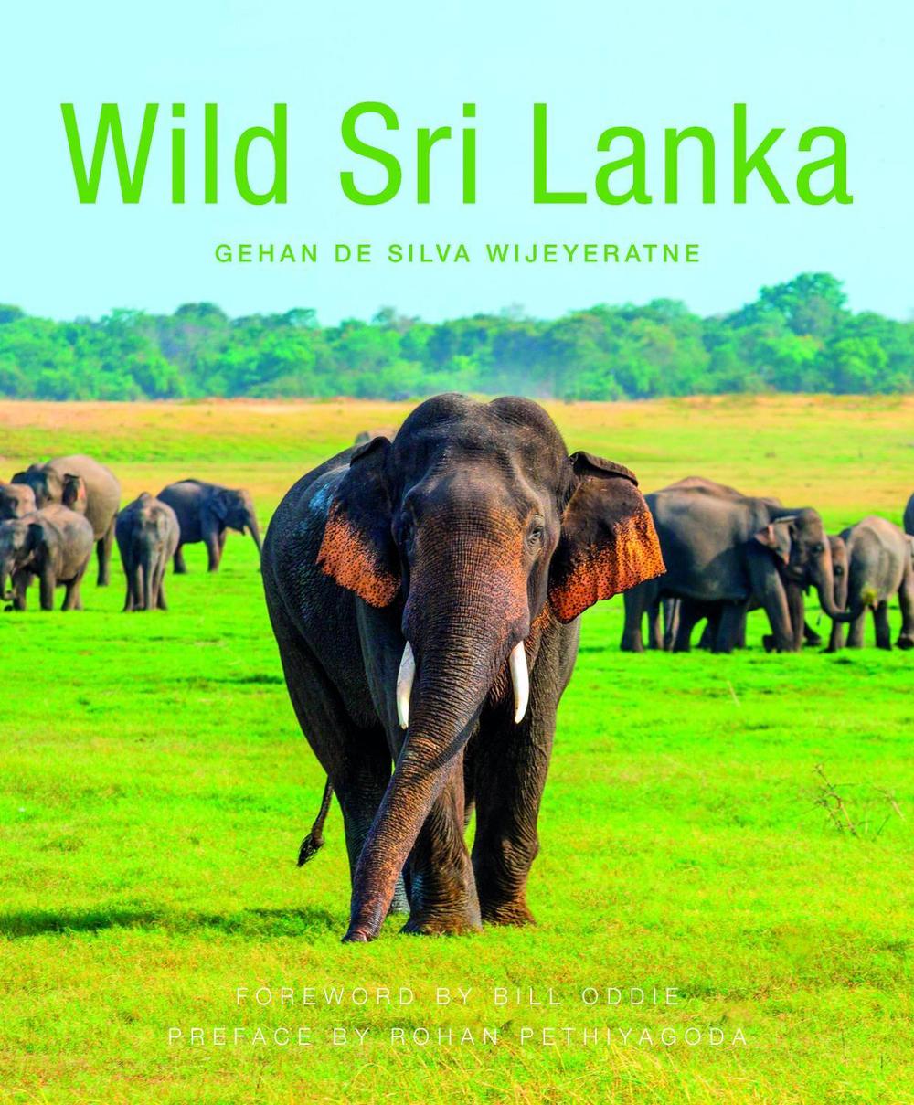 Wild Sri Lanka (2nd edition), 9781912081097