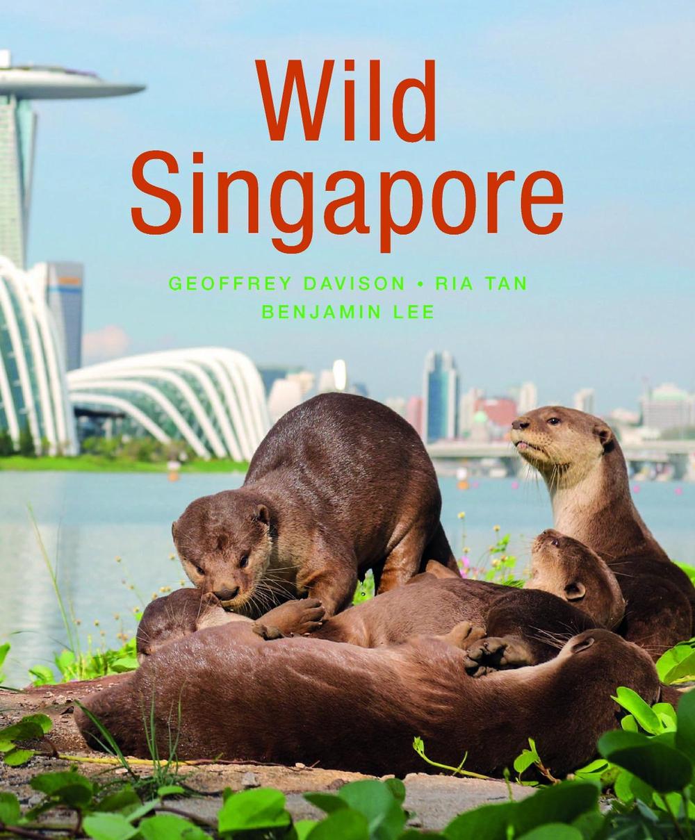Wild Singapore (2nd edition), 9781912081103