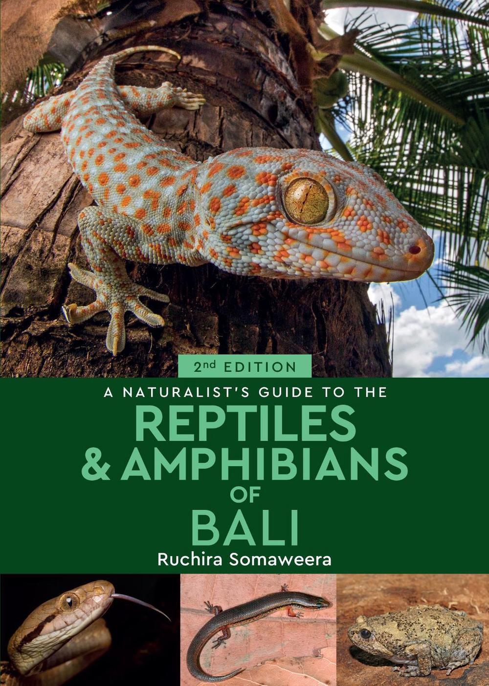 A Naturalist's Guide to the Reptiles & Amphibians of Bali (2nd edition), 9781912081257