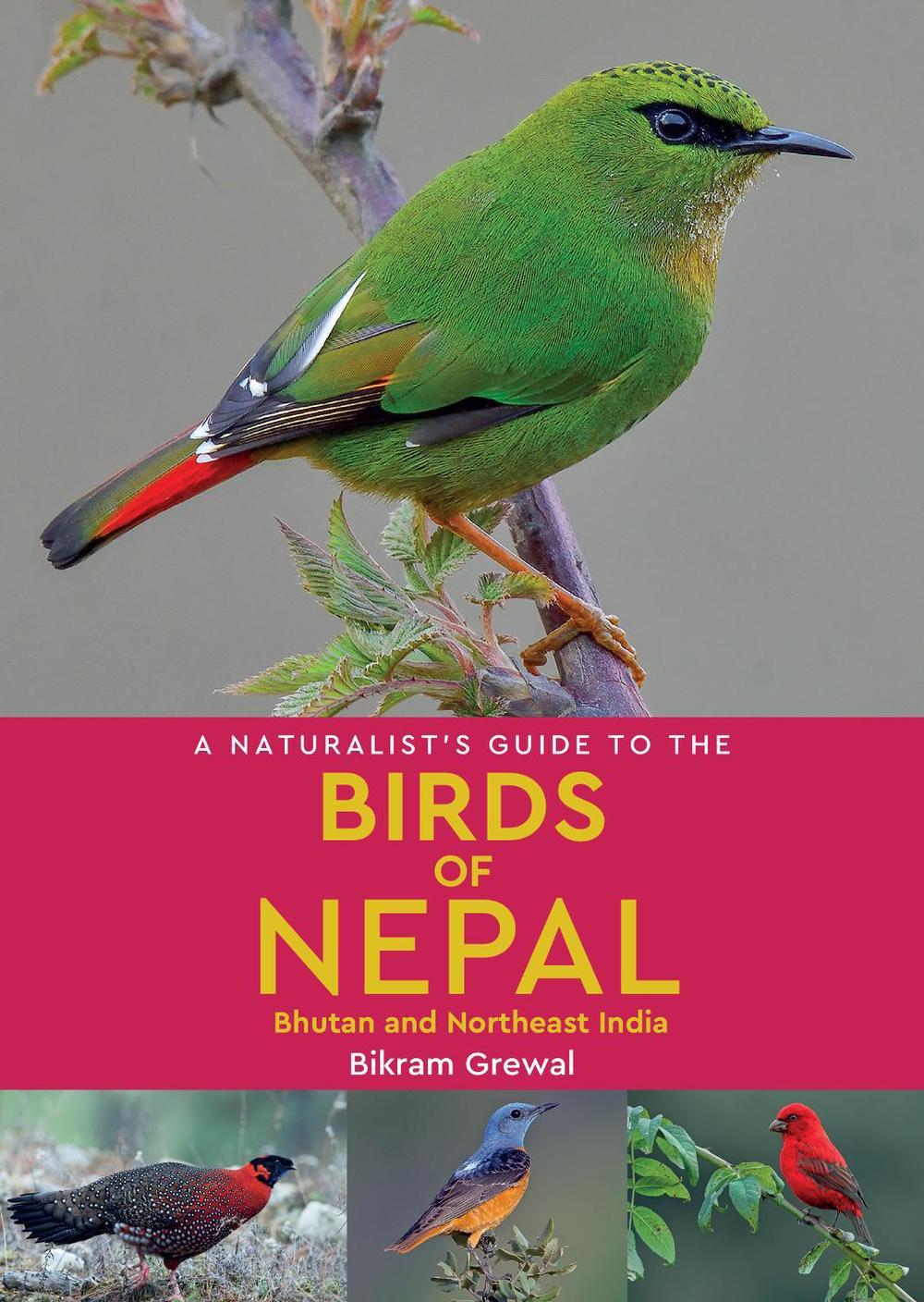 A Naturalist's Guide to the Birds of Nepal, 9781912081394