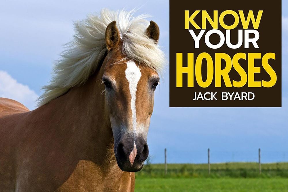 Know Your Horses by Jack Byard - ISBN: 9781912158492