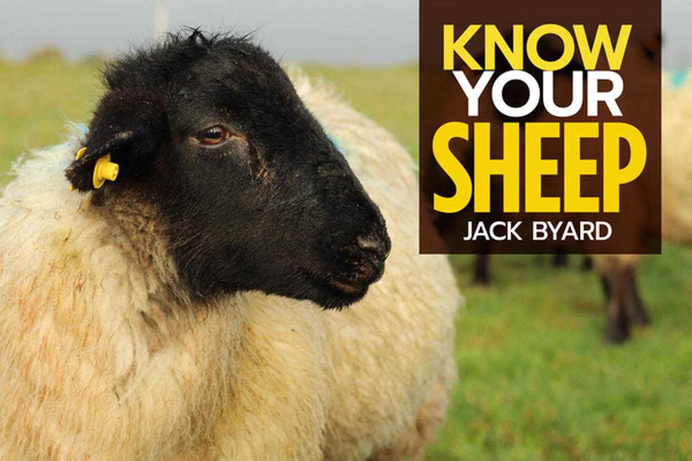 Know Your Sheep By Jack Byard, Paperback, 9781912158508 | Buy Online At ...