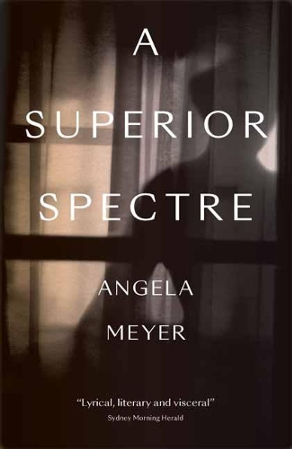A Superior Spectre by Angela Meyer - ISBN: 9781912235483