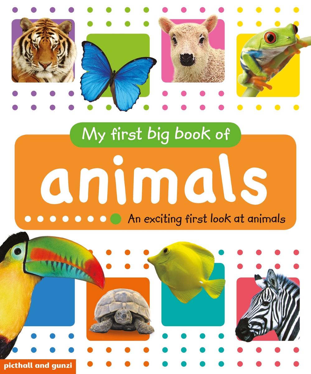 My First Big Book of Animals, 9781912646074