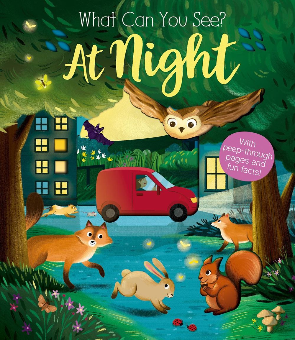 What Can You See At Night? by Kate Ware - ISBN: 9781912756414