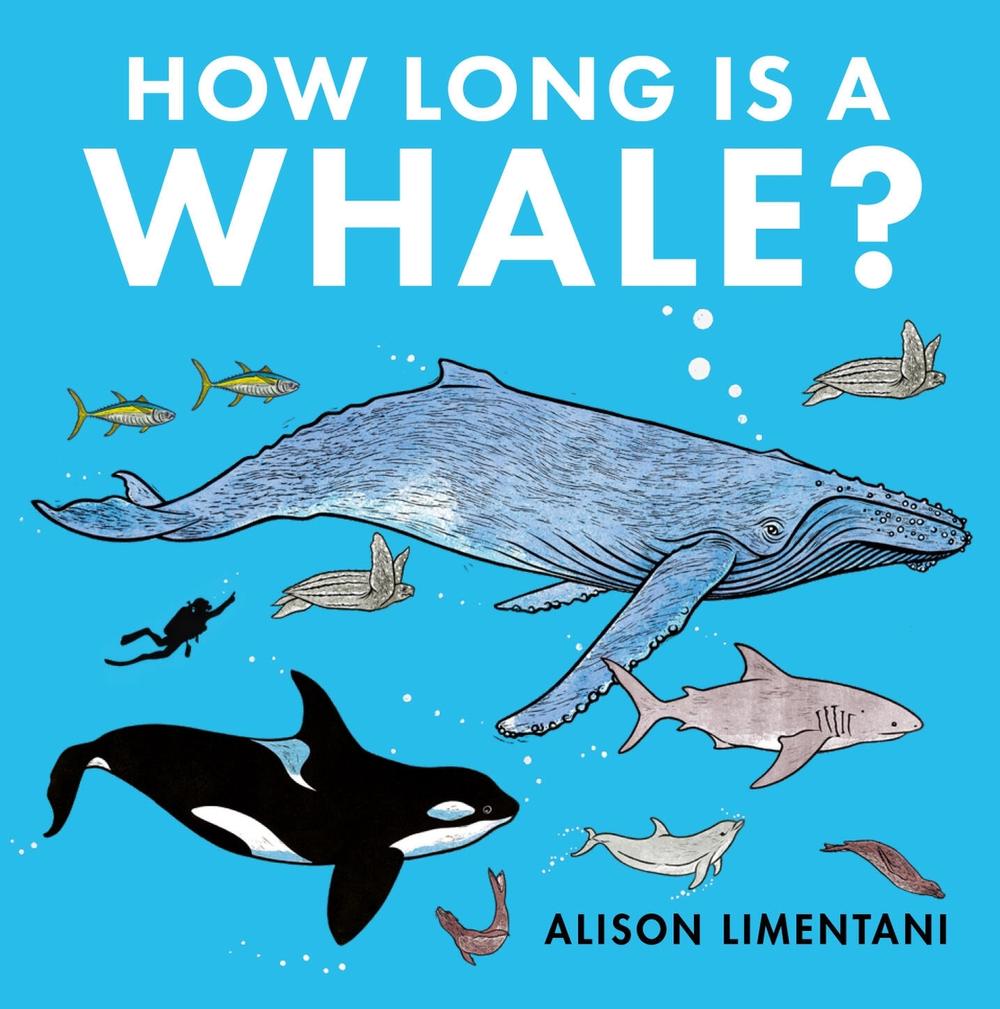 How Long Is a Whale? by Alison Limentani - ISBN: 9781912757855