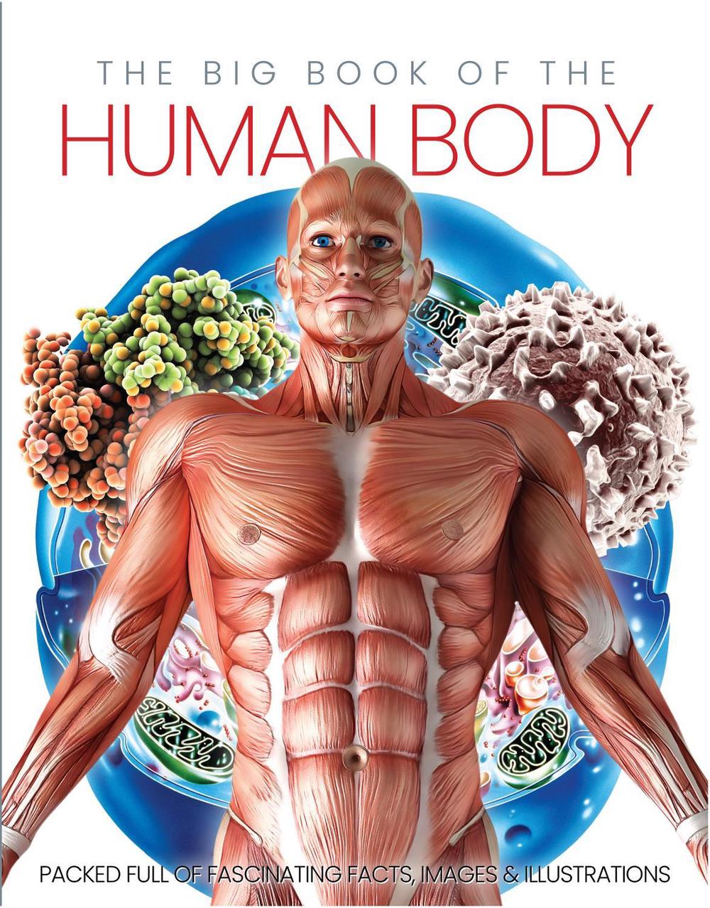 The Big Book of the Human body, 9781912918744