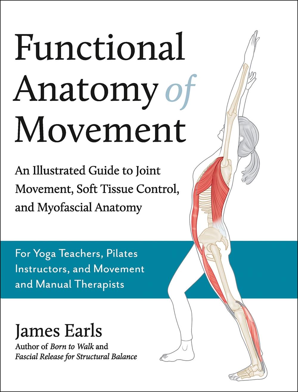Functional Anatomy of Movement, 9781913088385