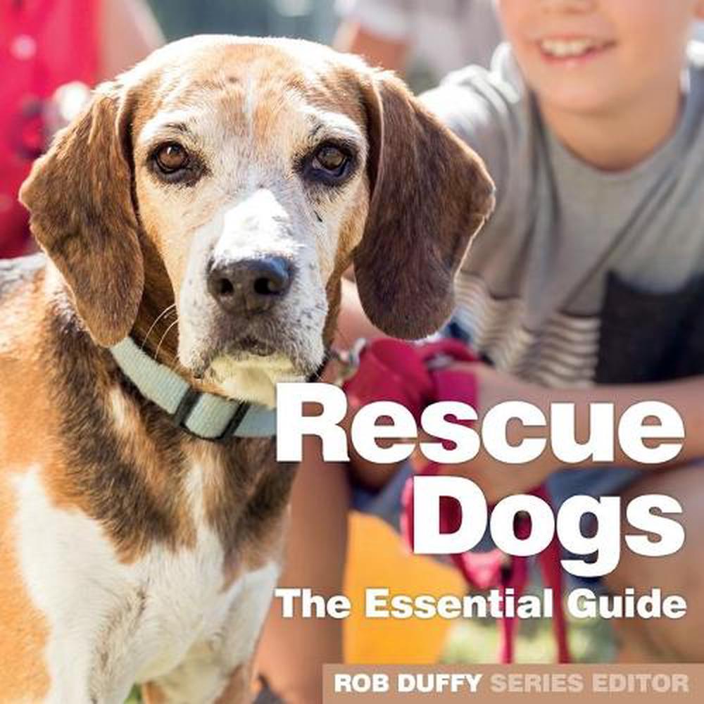 childrens book non fiction picture rescue dog childrens book non fiction picture rescue dog
