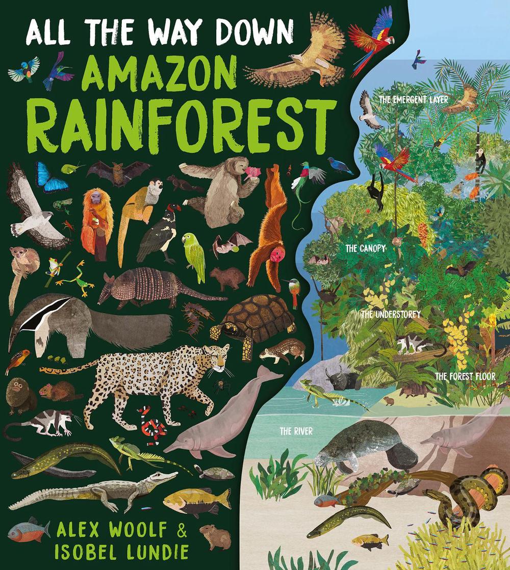 All The Way Down: Amazon Rainforest by Alex Woolf - ISBN: 9781913337988