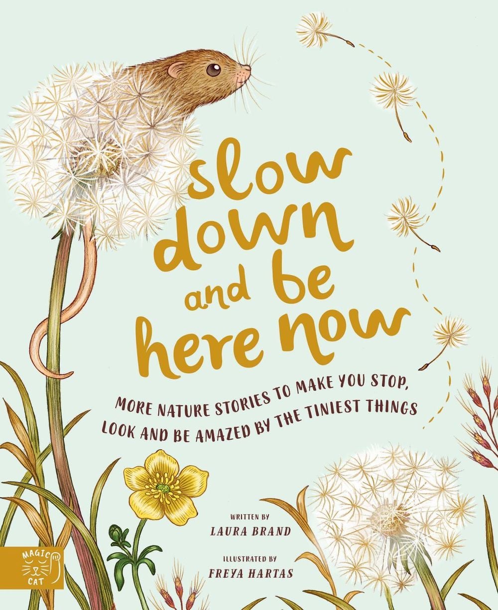 Slow Down and be Here Now by Laura Brand - ISBN: 9781913520656
