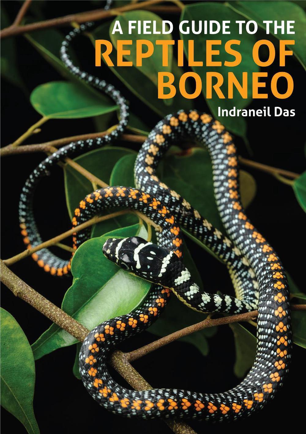 A Field Guide to the Reptiles of Borneo, 9781913679484