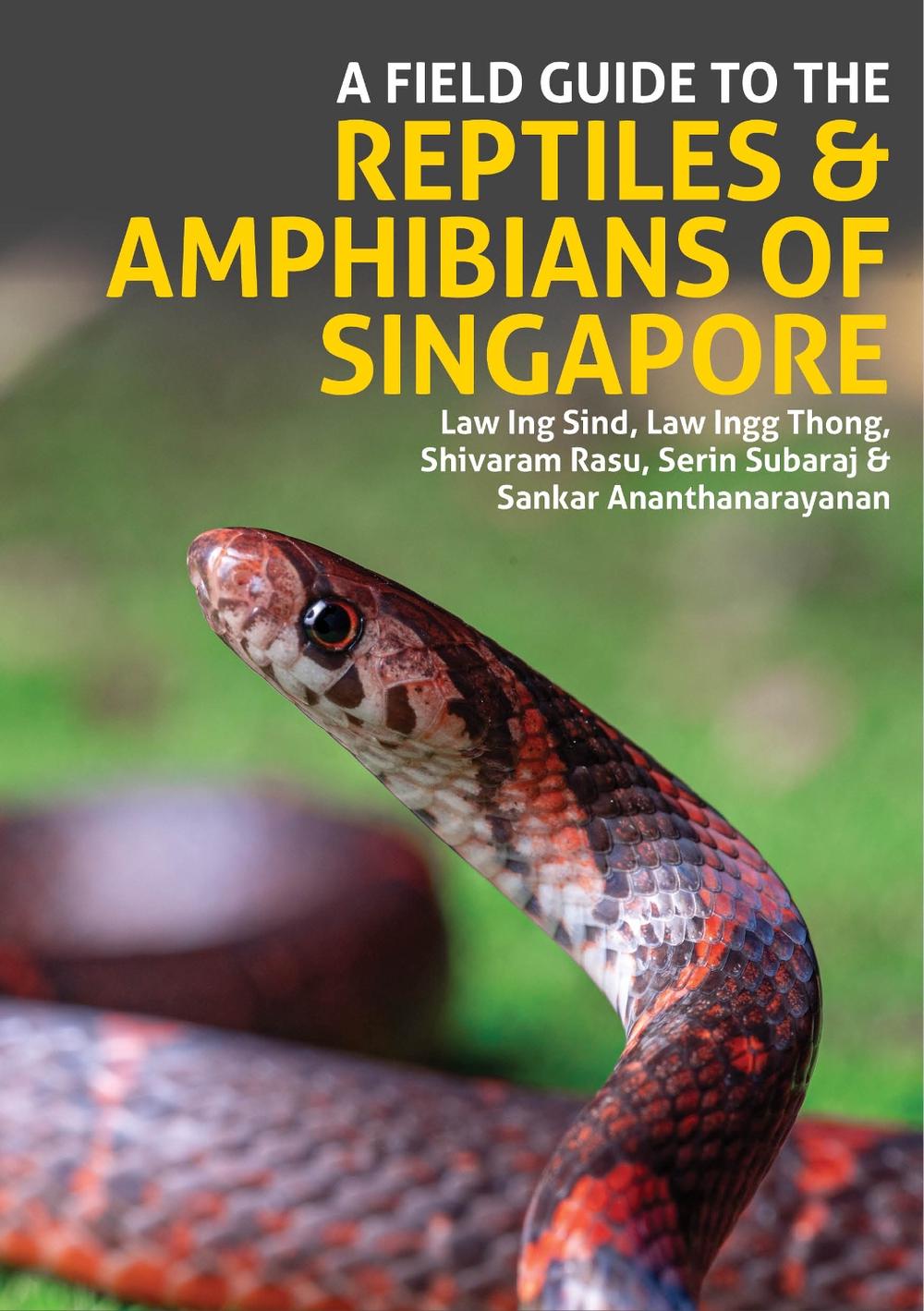 A Field Guide to the Reptiles and Amphibians of Singapore, 9781913679811