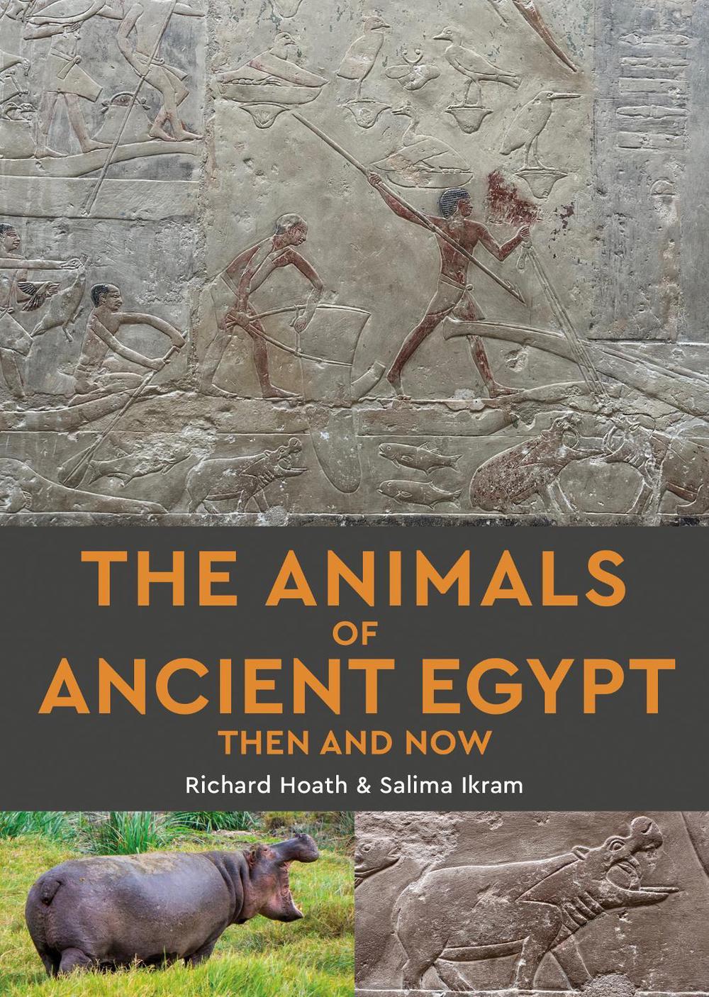 The Animals of Ancient Egypt Then and Now, 9781913679828