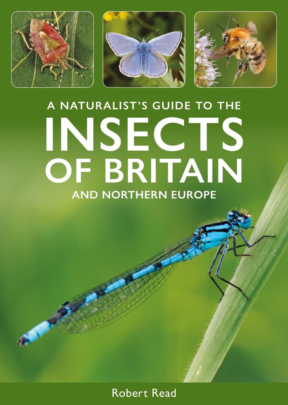 A Naturalist's Guide to the Insects of Britain and Northern Europe, 9781913679910