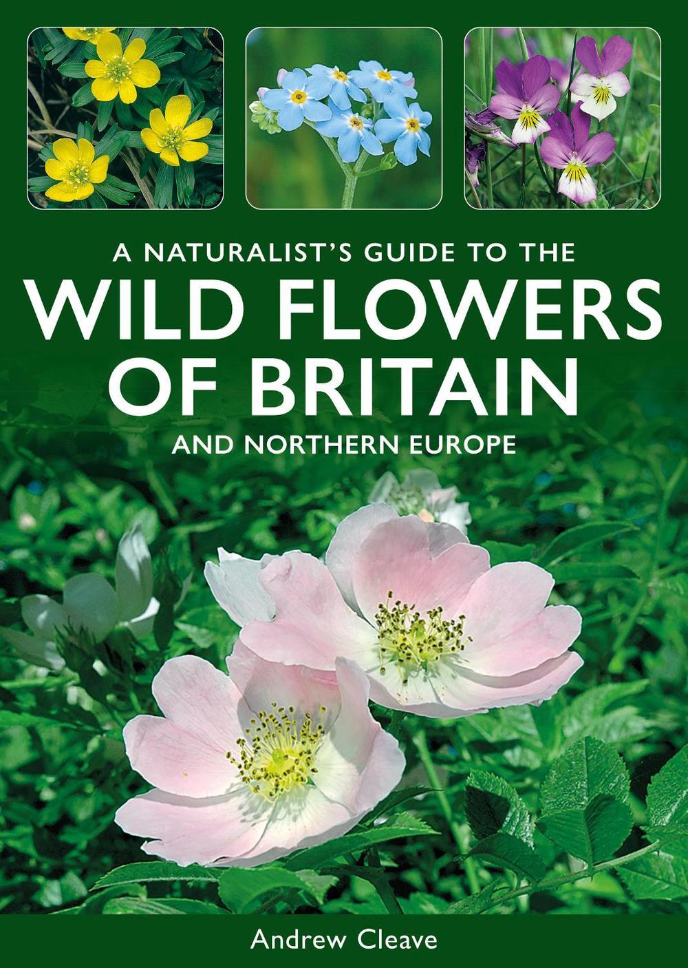 A Naturalist's Guide to the Wild Flowers of Britain and Northern Europe, 9781913679934