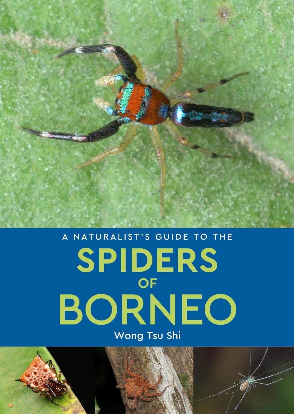 A Naturalist's Guide to the Spiders of Borneo, 9781913679958
