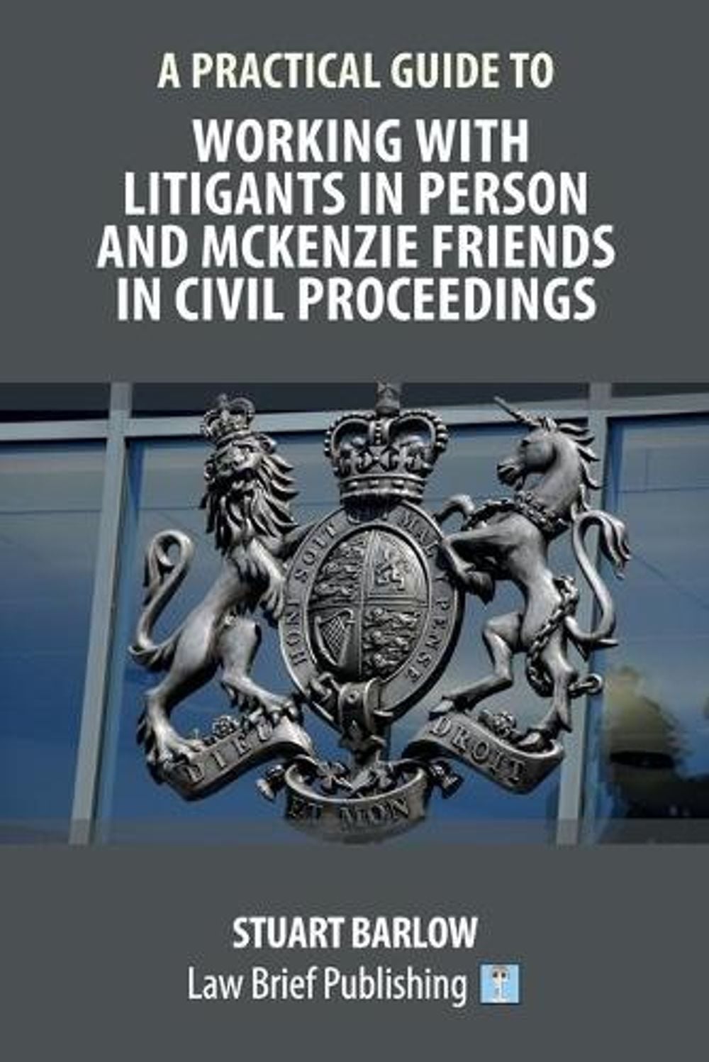 A Practical Guide to Working With Litigants in Person and McKenzie ...