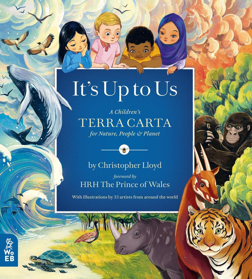 It's Up to Us by Christopher Lloyd - ISBN: 9781913750558
