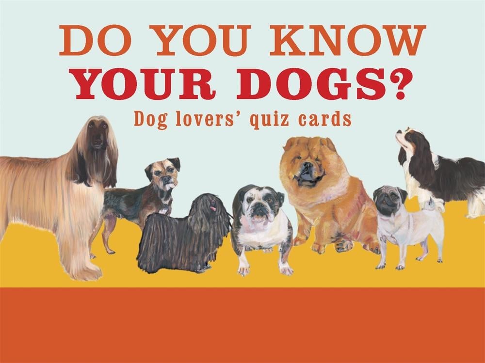 Do You Know Your Dogs? by Debora Robertson - ISBN: 9781913947071
