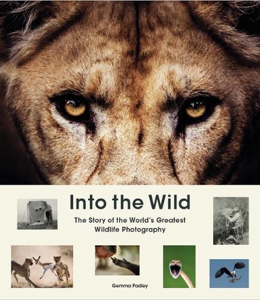 online into the wild book