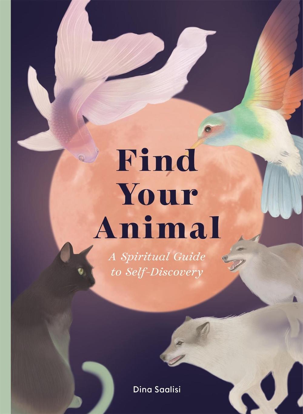 Find Your Animal, 9781913947675