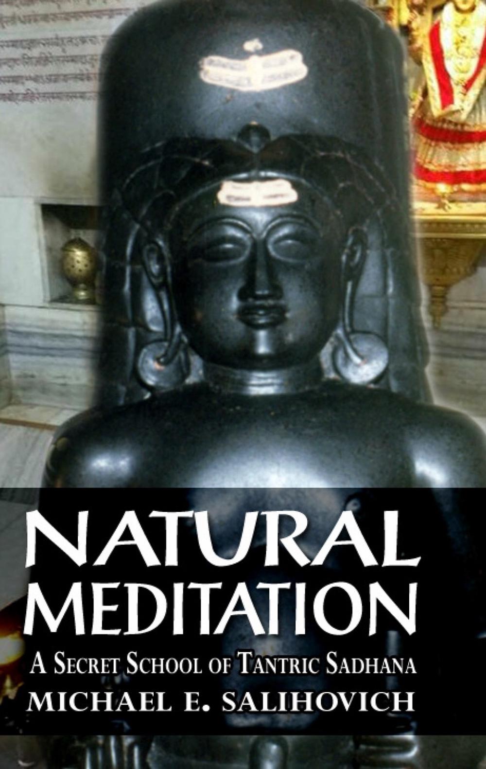 Natural Meditation by Michael E. Salihovich - ISBN: 9781914153181
